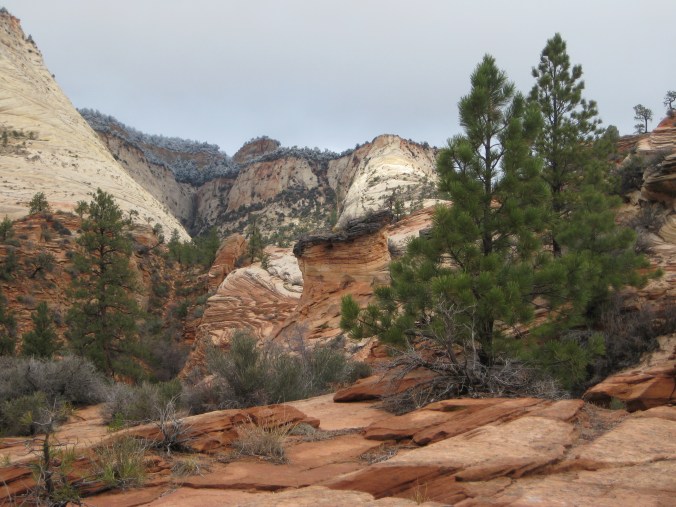 Zion National Park, November 2008