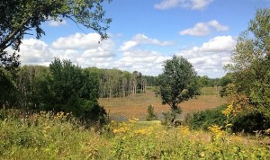 Pokagon trail seven loop overlook